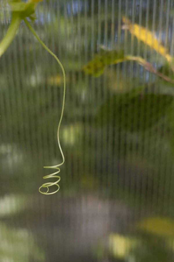 How Is AI Utilized in Customizing Educational Content for Diverse Learners?